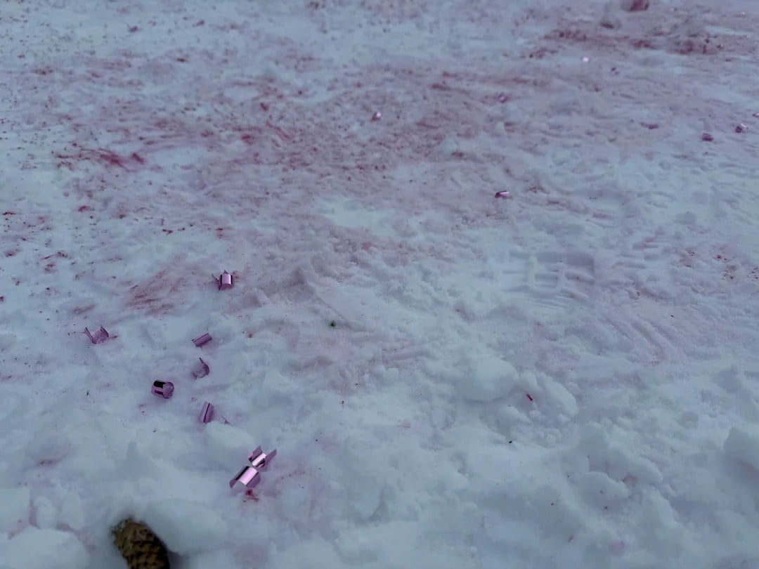 Gender Reveal at Lake Louise Leaves Behind Pink Stain and Hundreds of Confetti Pieces