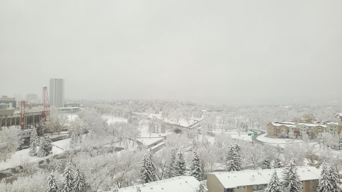 Winter storm hits Calgary, expected to continue into evening