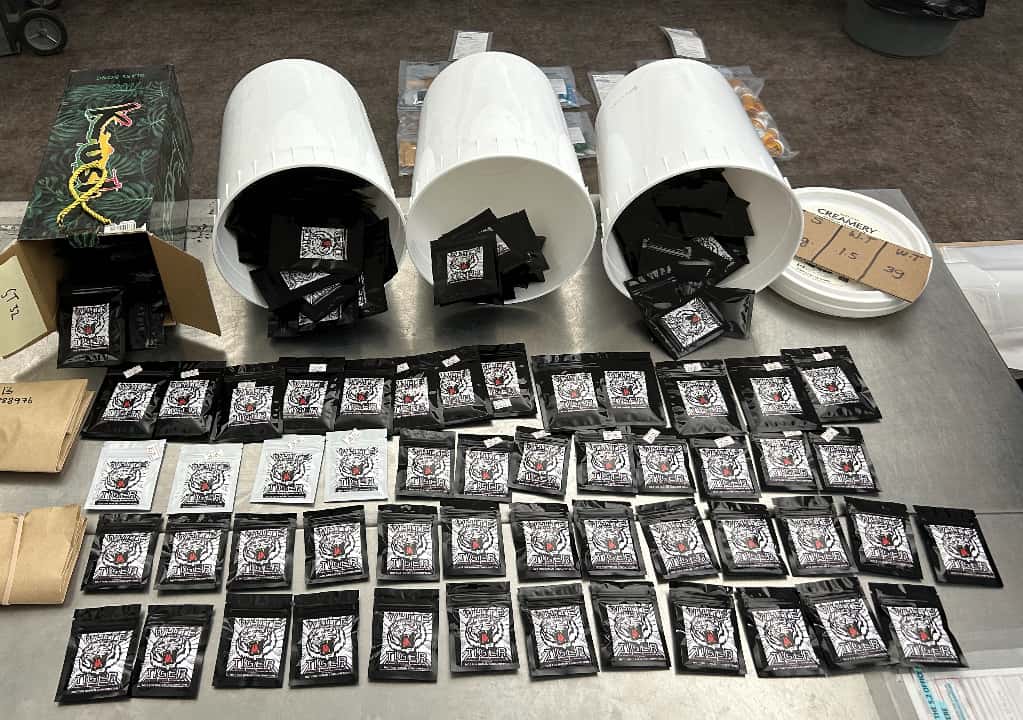 Edmonton Corner Store Sold Synthetic Drugs, Brass Knuckles, and Psilocybin Edibles Police Raided It Three Times