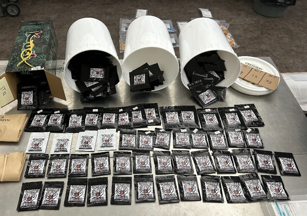 Edmonton Corner Store Sold Synthetic Drugs, Brass Knuckles, and Psilocybin Edibles Police Raided It Three Times