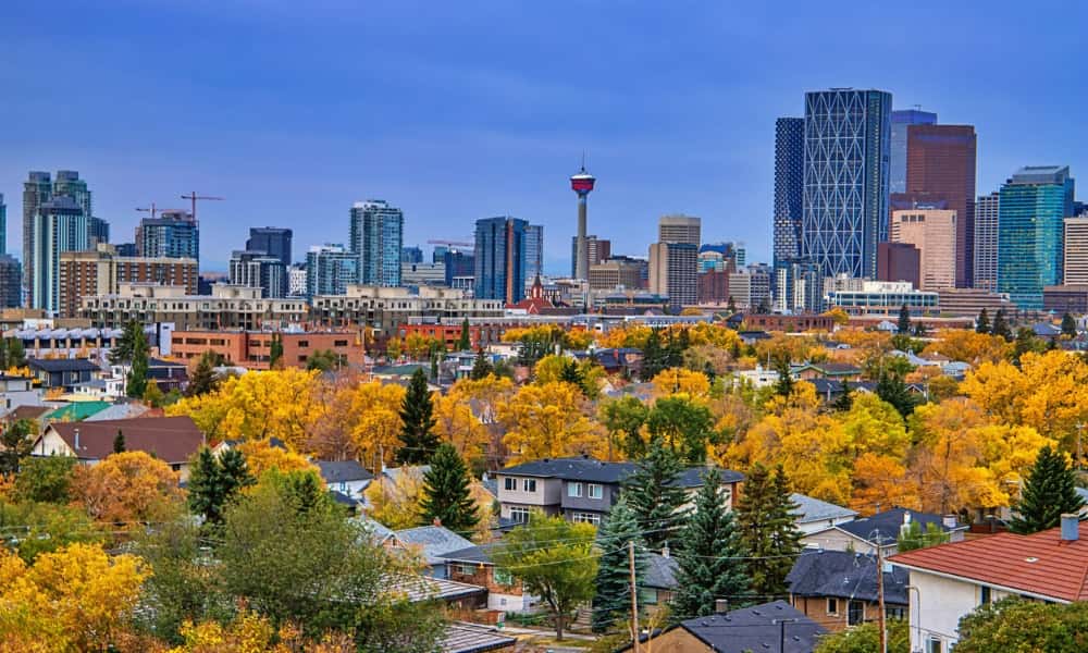 Calgary Home Sales Drop 11% in February as Condo Market Takes the Hardest Hit