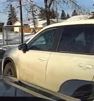 Calgary Driver Gets Ticket After Installing Curtains on Car Windows to Block the Sun