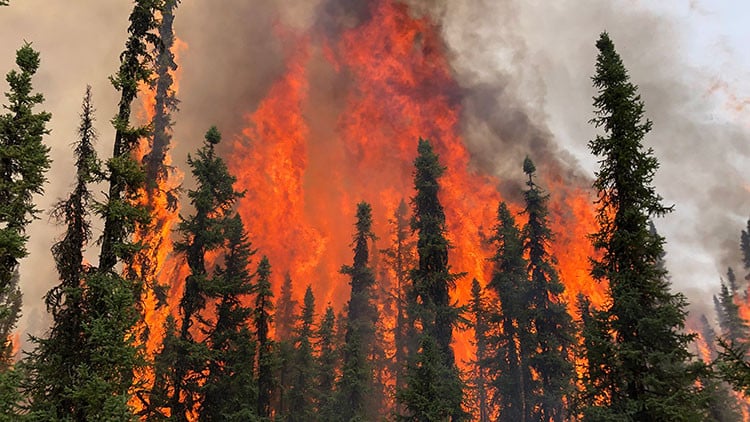 Alberta Wildfire Season 2026 Has Officially Started — Here's What You Need to Know