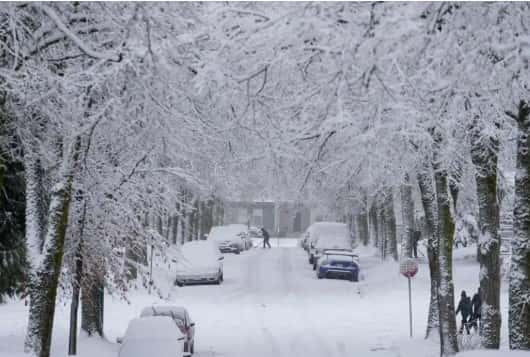 Alberta to Get up to 20 cm of Snow Today as Spring Storm Hits the Province