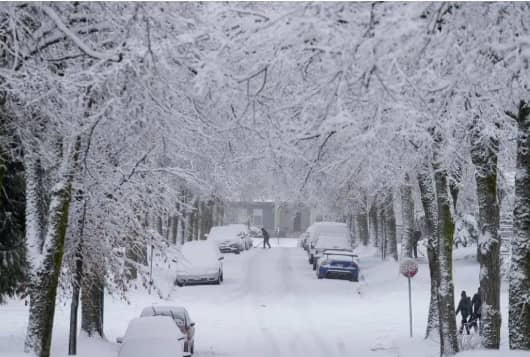 Alberta to Get up to 20 cm of Snow Today as Spring Storm Hits the Province
