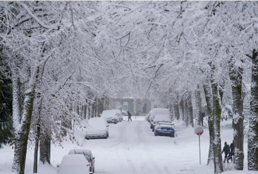 Alberta to Get up to 20 cm of Snow Today as Spring Storm Hits the Province