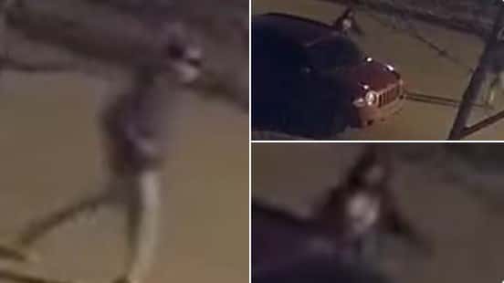 Leduc RCMP Seeking Public Help to Identify Two Suspects in Random Tire Slashing Spree