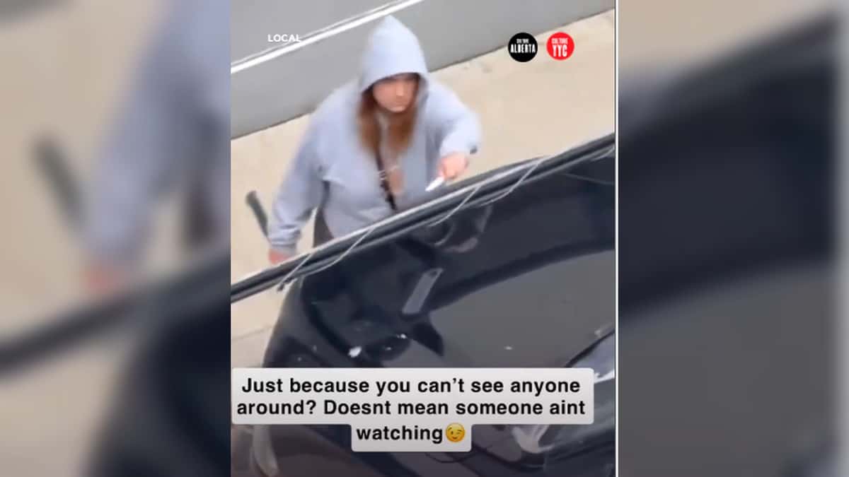 Alberta Woman Caught on Camera Keying a Car in Viral Video With 1.4 Million Views