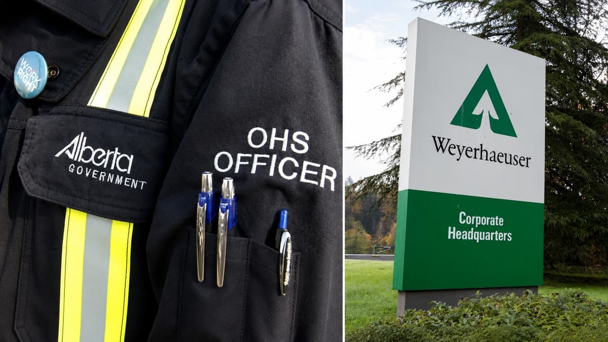 Weyerhaeuser Pleads Guilty After Grande Prairie Mill Death, Pays $355K