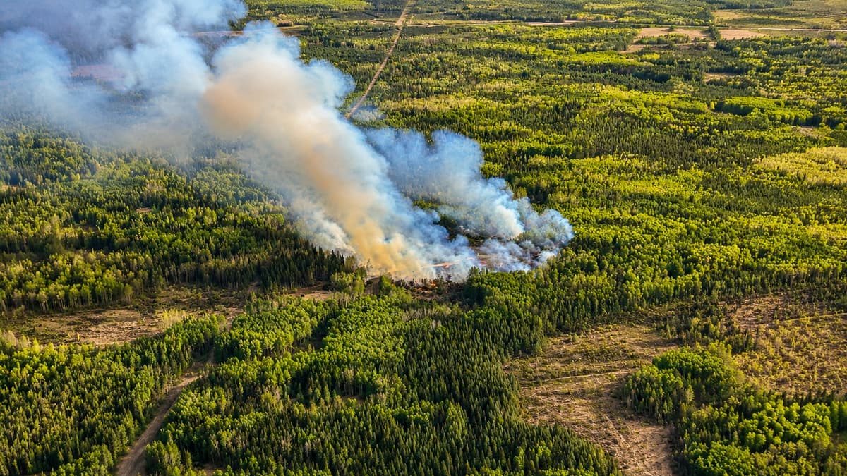 Grande Prairie Fire Advisory in Effect. Your Backyard Fire Pit Is Still Allowed. Your Burn Barrel Probably Is Not