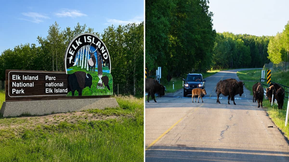 Elk Island National Park East of Edmonton Closed by Flooding and Storm Damage