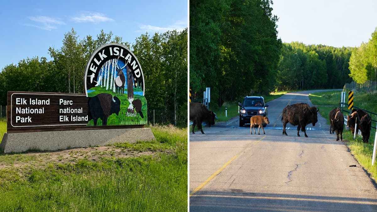 Elk Island National Park East of Edmonton Closed by Flooding and Storm Damage
