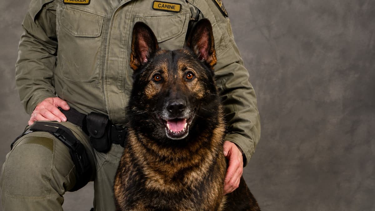 Retired Edmonton Police Dog Larry Has Passed, 15 Years After a Career That Started in Medicine Hat