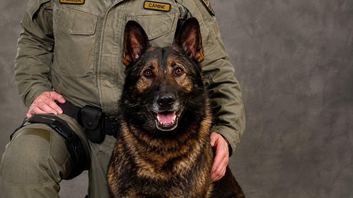 Retired Edmonton Police Dog Larry Has Passed, 15 Years After a Career That Started in Medicine Hat