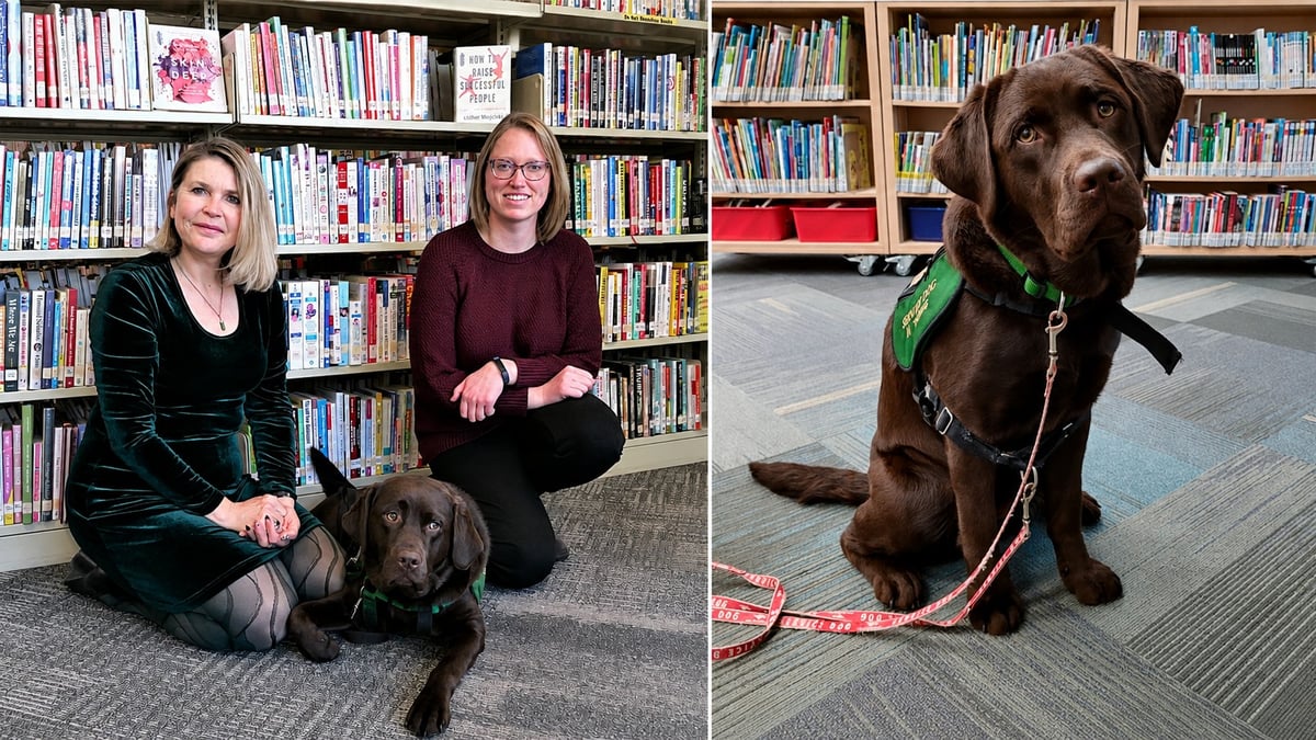 Meet Katja, the Red Deer Public Library Dog Helping Kids Read: Alberta's First Library Facility Dog