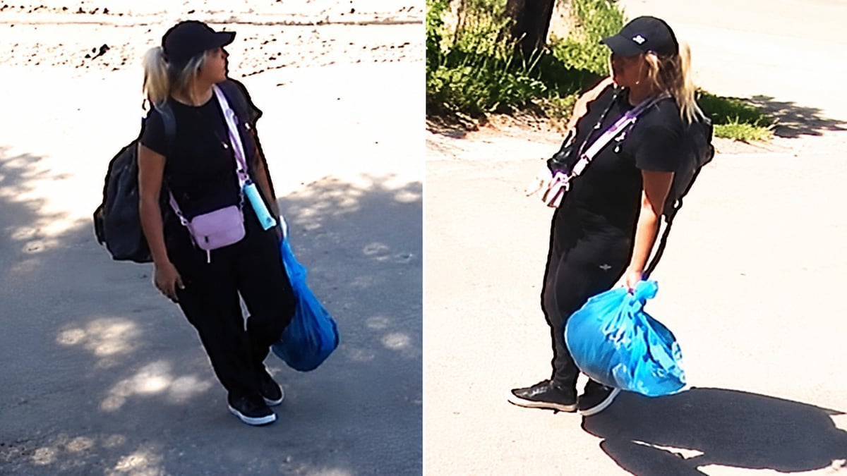 Edmonton Vehicle Arson: Police Seek Woman in Pink Crossbody Bag Caught on Surveillance