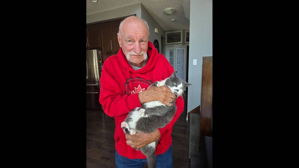 Calgary Police Search for Missing Senior Gregory, 77, Last Seen in Cityscape Driving Blue Honda Civic