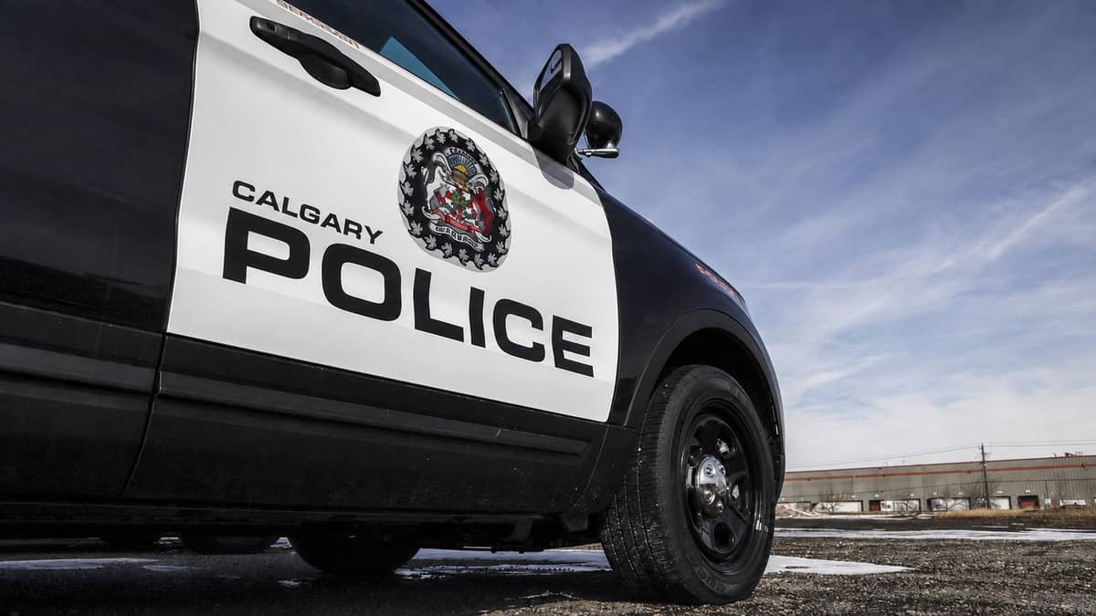 Calgary Man Forced Into Trunk of His Own Car While Walking His Dog, Three Charged and a Fourth Sought