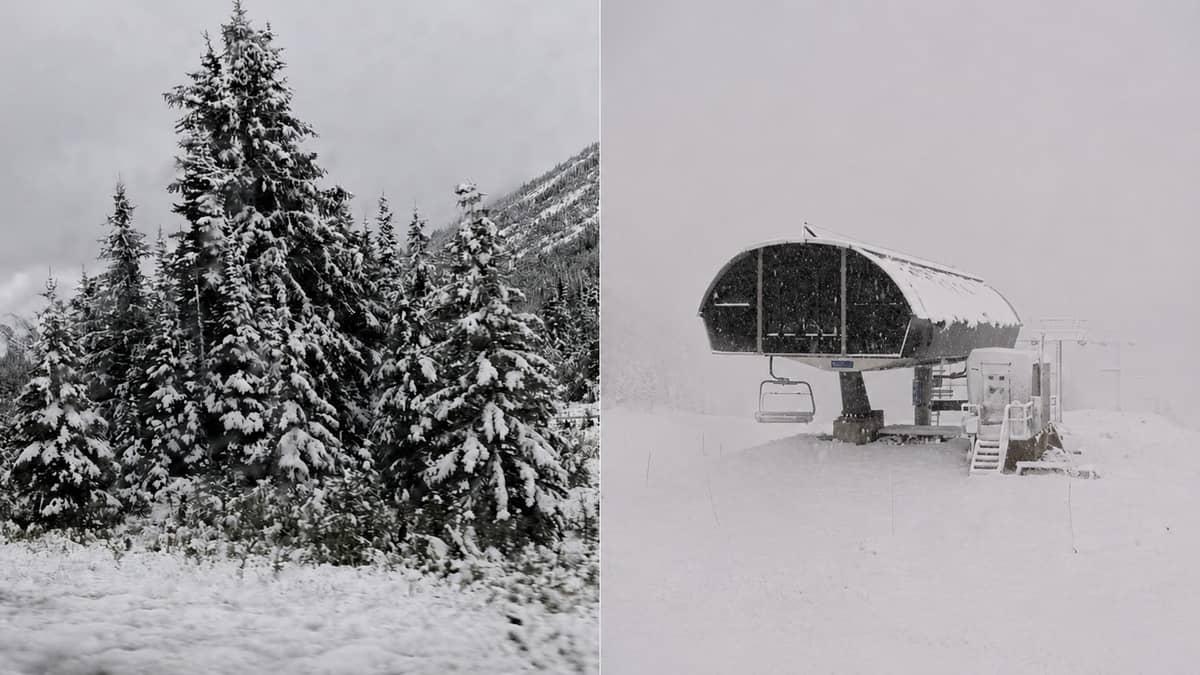 Alberta’s First Snow Falls Along Highway 40 in Kananaskis and at Sunshine Village in Banff