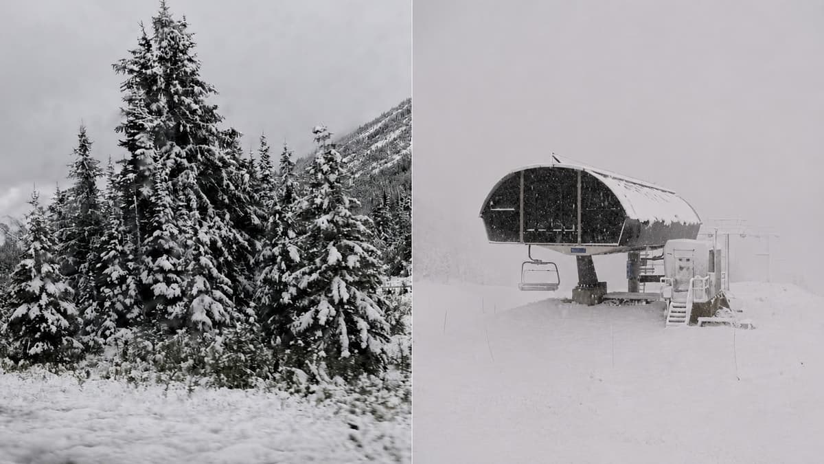 Alberta’s First Snow Falls Along Highway 40 in Kananaskis and at Sunshine Village in Banff