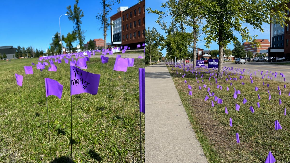 Grande Prairie Marks Overdose Awareness Day With 1,157 Purple Flags, One for Every Albertan Lost Last Year