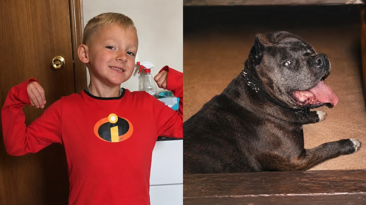 Edmonton Woman Whose Dogs Killed 11-Year-Old Kache Grist Sentenced to Two Years of House Arrest