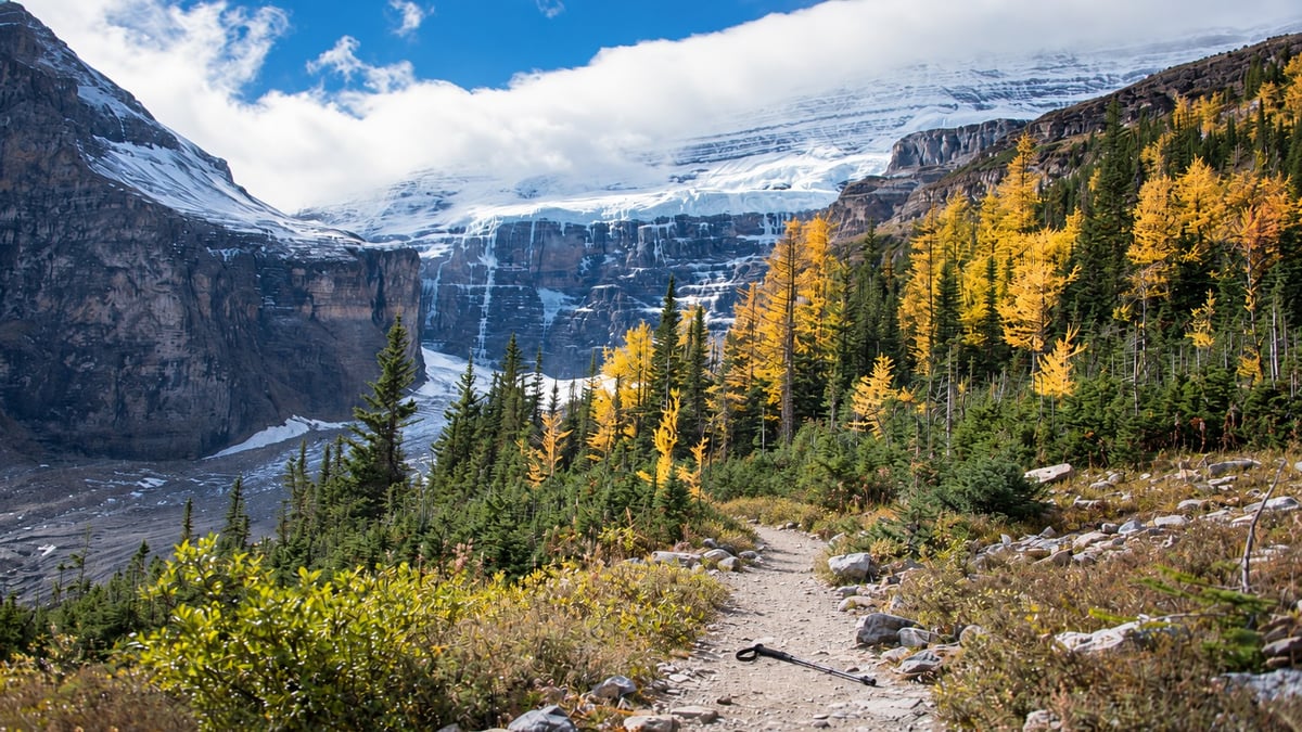 Two Alberta Hikers, 24 and 33, Found Dead in Banff National Park
