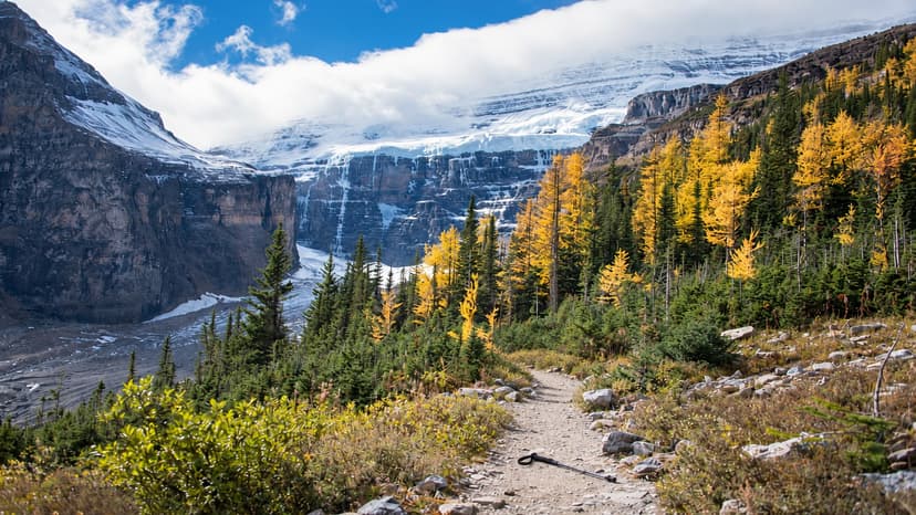 Two Alberta Hikers, 24 and 33, Found Dead in Banff National Park
