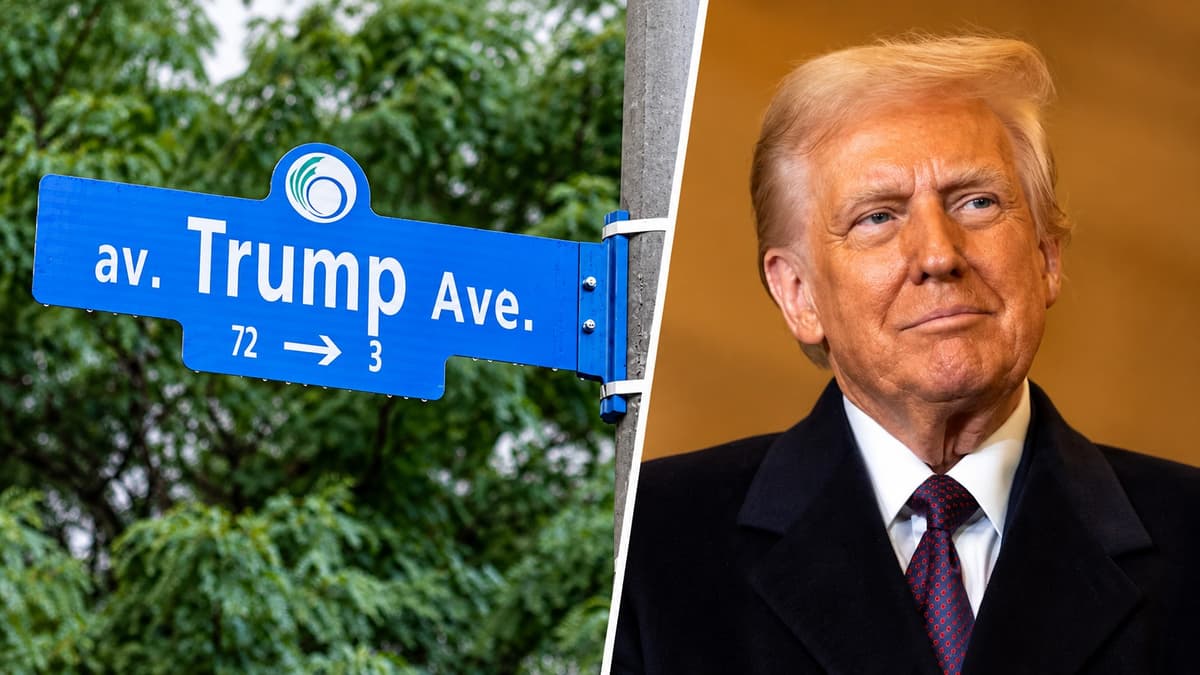Trump Avenue in Canada Is Getting Renamed. One of Its Street Signs Has Already Gone Missing.