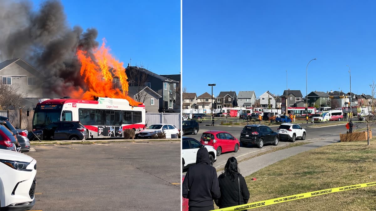 Calgary Bus Fire: 3 Dead, At Least 10 Injured After Two Transit Buses Collide Near Saddletowne Station