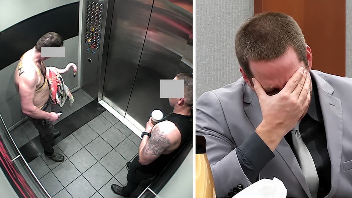 Canadian Tourist Mitchell Fairbarn Found Guilty in Las Vegas Flamingo Case as Advocates Demand Maximum Sentence